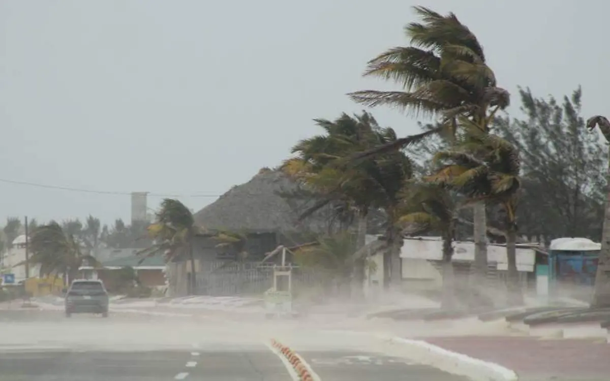 Playa Miramar ante fuertes vientos